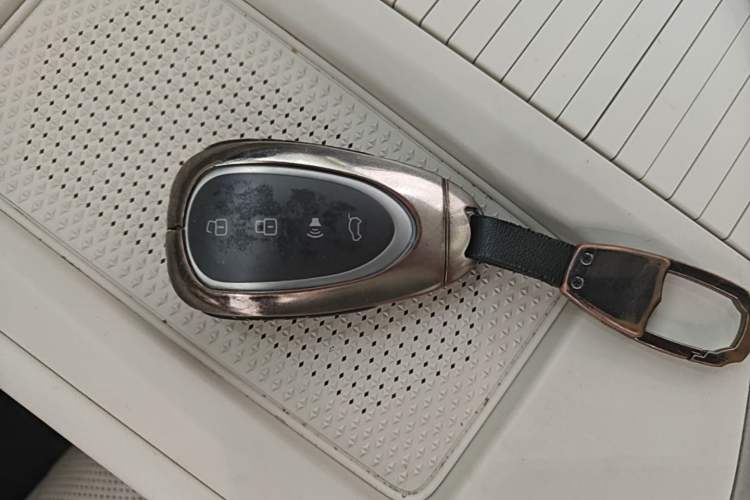 Used Wey Lanshan 2023 Four-Wheel Drive Ultra-Long Range Version Interior 1