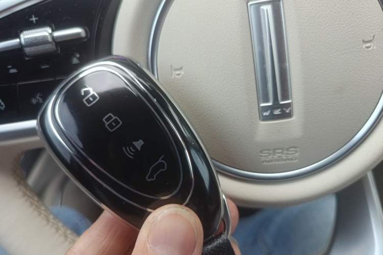 Used Wey Lanshan 2023 Four-Wheel Drive Ultra-Long Range Version Interior 1