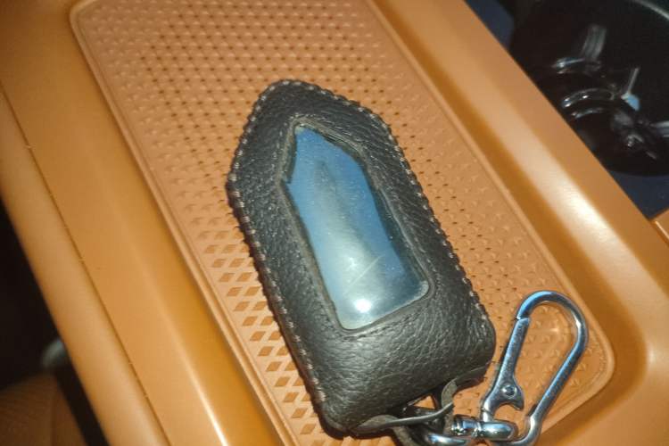 Used Wey Lanshan 2023 Four-Wheel Drive Ultra-Long Range Version Interior 1
