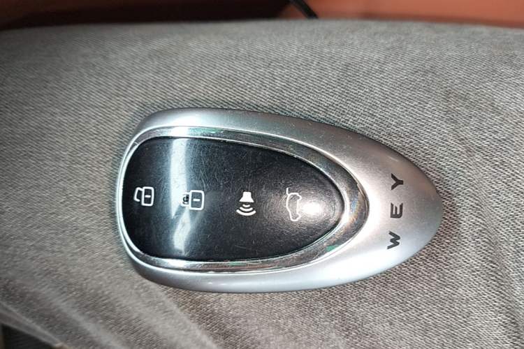 Used Wey Lanshan 2023 Four-Wheel Drive Ultra-Long Range Version Interior 1