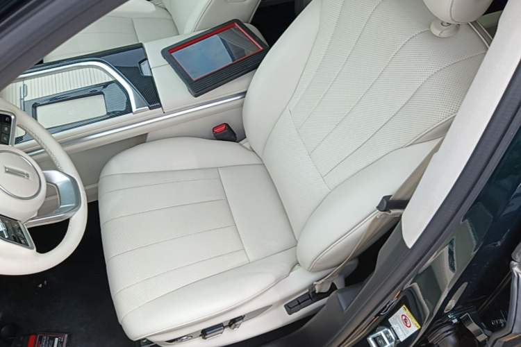 Used Wey Lanshan 2023 Four-Wheel Drive Ultra-Long Range Version Left Front Seat