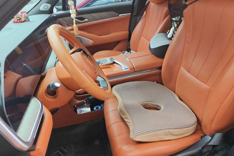Used Wey Lanshan 2023 Four-Wheel Drive Ultra-Long Range Version Left Front Seat