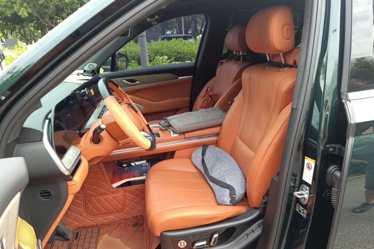 Used Wey Lanshan 2023 Four-Wheel Drive Ultra-Long Range Version Left Front Seat