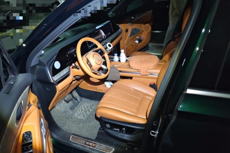 Used Wey Lanshan 2023 Four-Wheel Drive Ultra-Long Range Version Left Front Seat