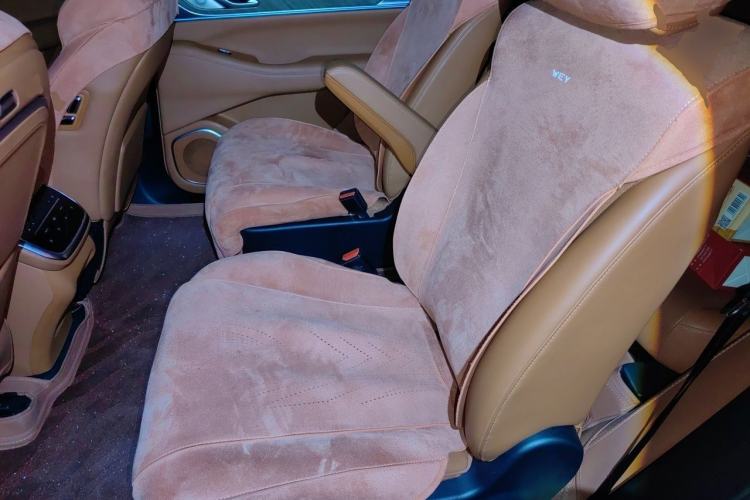 Used Wey Lanshan 2023 Four-Wheel Drive Ultra-Long Range Version Left Rear Seat