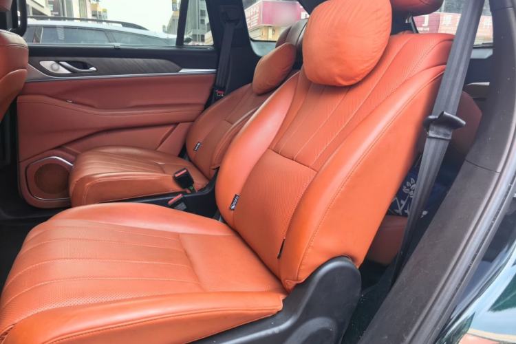 Used Wey Lanshan 2023 Four-Wheel Drive Ultra-Long Range Version Left Rear Seat