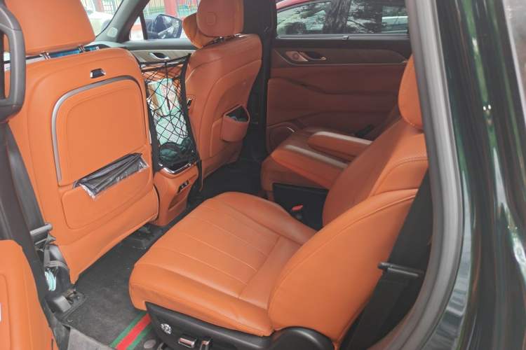 Used Wey Lanshan 2023 Four-Wheel Drive Ultra-Long Range Version Left Rear Seat
