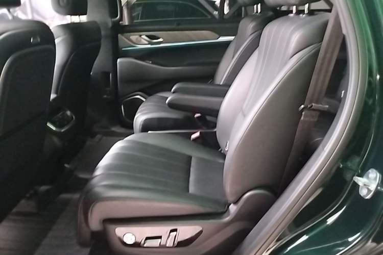 Used Wey Lanshan 2023 Four-Wheel Drive Ultra-Long Range Version Left Rear Seat