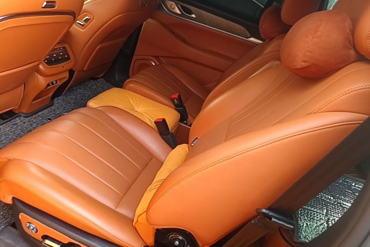 Used Wey Lanshan 2023 Four-Wheel Drive Ultra-Long Range Version Left Rear Seat