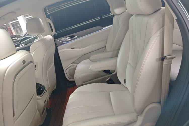 Used Wey Lanshan 2023 Four-Wheel Drive Ultra-Long Range Version Left Rear Seat