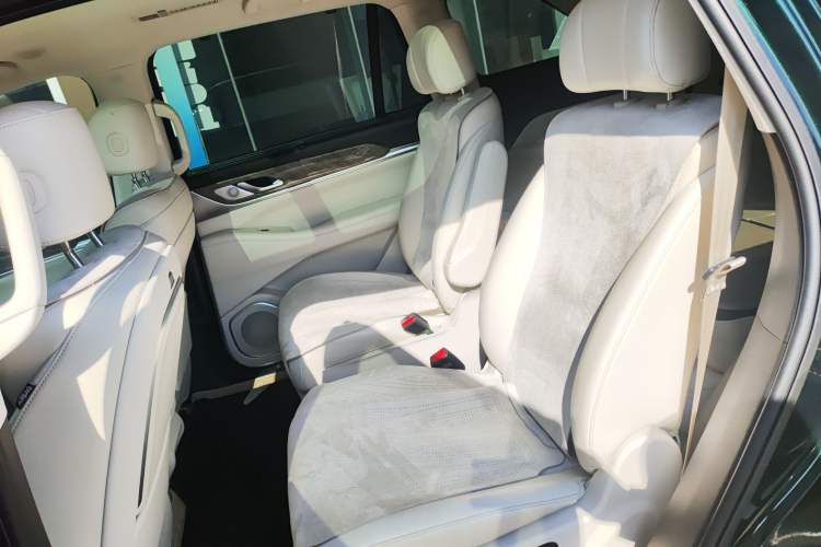 Used Wey Lanshan 2023 Four-Wheel Drive Ultra-Long Range Version Left Rear Seat