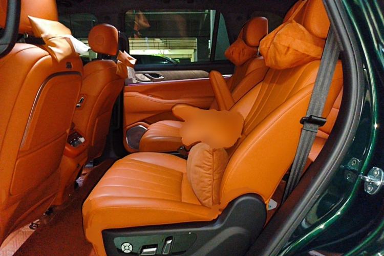Used Wey Lanshan 2023 Four-Wheel Drive Ultra-Long Range Version Left Rear Seat