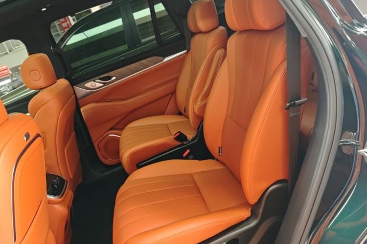 Used Wey Lanshan 2023 Four-Wheel Drive Ultra-Long Range Version Left Rear Seat
