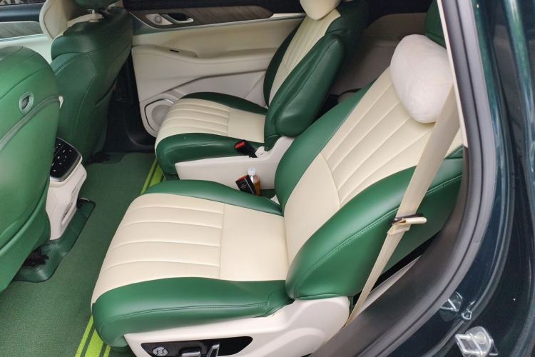 Used Wey Lanshan 2023 Four-Wheel Drive Ultra-Long Range Version Left Rear Seat