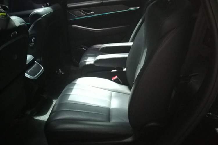 Used Wey Lanshan 2023 Four-Wheel Drive Ultra-Long Range Version Left Rear Seat