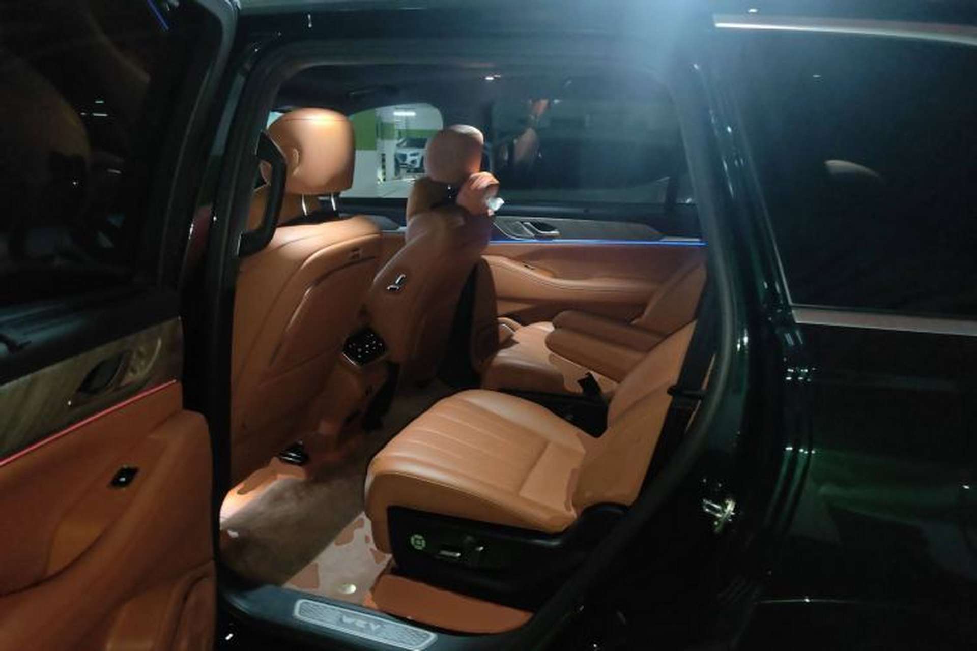 Used Wey Lanshan 2023 Four-Wheel Drive Ultra-Long Range Version Left Rear Seat