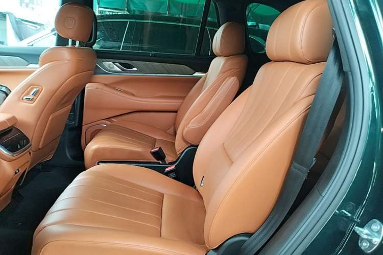 Used Wey Lanshan 2023 Four-Wheel Drive Ultra-Long Range Version Left Rear Seat