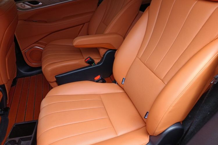 Used Wey Lanshan 2023 Four-Wheel Drive Ultra-Long Range Version Left Rear Seat