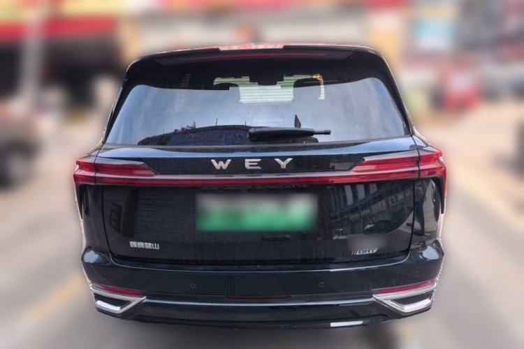 Used Wey Lanshan 2023 Four-Wheel Drive Ultra-Long Range Version Rear