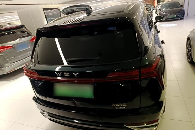Used Wey Lanshan 2023 Four-Wheel Drive Ultra-Long Range Version Rear
