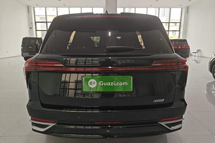 Used Wey Lanshan 2023 Four-Wheel Drive Ultra-Long Range Version Rear