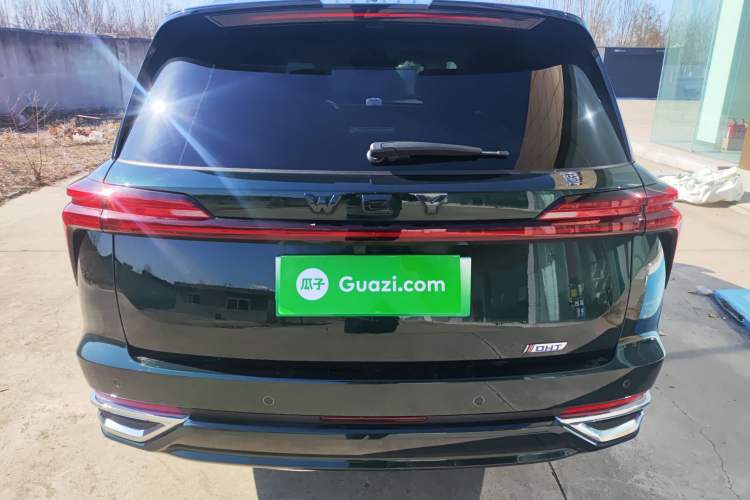 Used Wey Lanshan 2023 Four-Wheel Drive Ultra-Long Range Version Rear