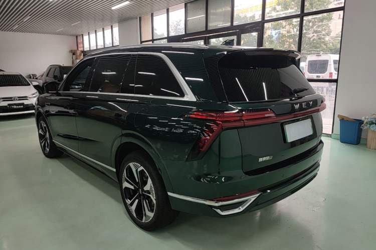 Used Wey Lanshan 2023 Four-Wheel Drive Ultra-Long Range Version Rear Left 45 Deg