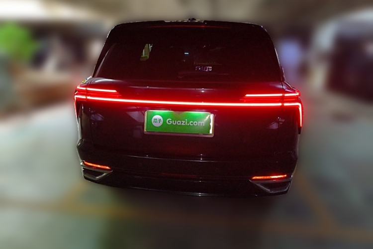 Used Wey Lanshan 2023 Four-Wheel Drive Ultra-Long Range Version Rear