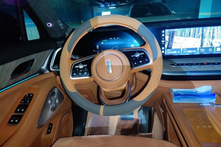Used Wey Lanshan 2023 Four-Wheel Drive Ultra-Long Range Version Steering Wheel