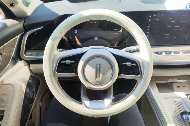 Used Wey Lanshan 2023 Four-Wheel Drive Ultra-Long Range Version Steering Wheel