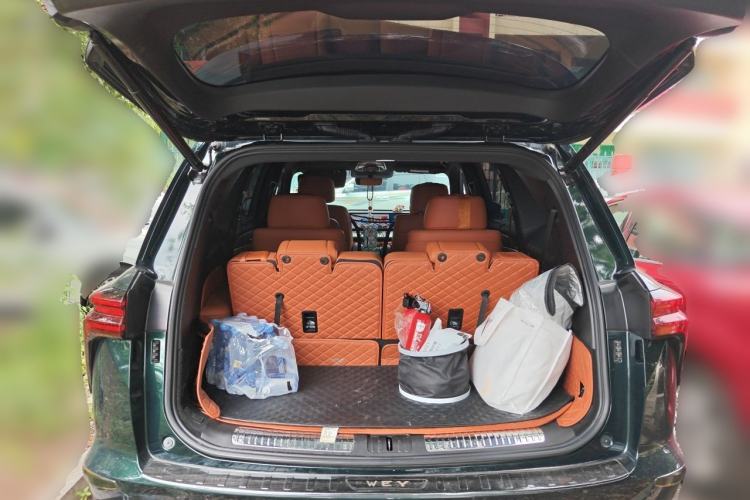 Used Wey Lanshan 2023 Four-Wheel Drive Ultra-Long Range Version Trunk