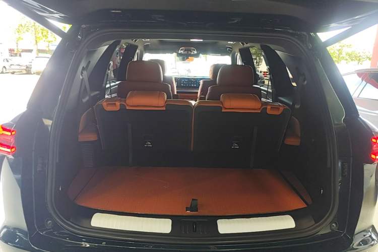 Used Wey Lanshan 2023 Four-Wheel Drive Ultra-Long Range Version Trunk