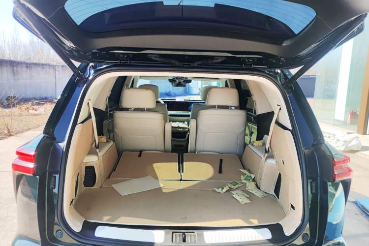 Used Wey Lanshan 2023 Four-Wheel Drive Ultra-Long Range Version Trunk