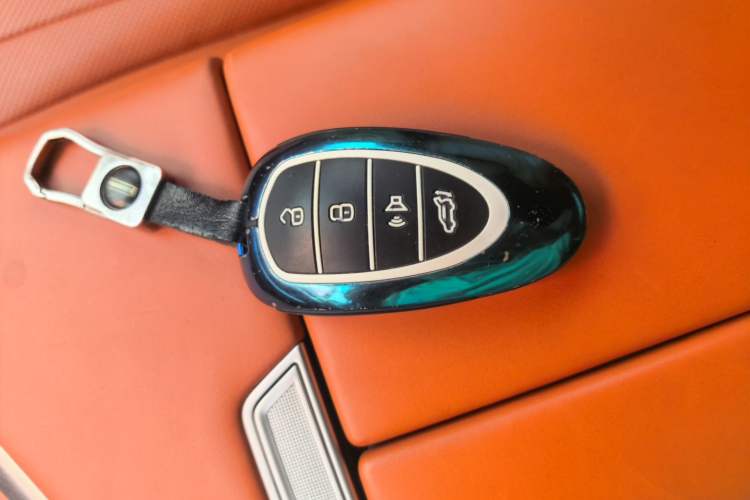 Used Wey Lanshan 2023 Four-Wheel Drive Ultra-Long Range Version Vehicle Key