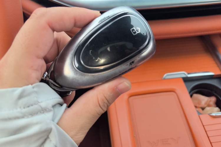 Used Wey Lanshan 2023 Two-Wheel Drive Long-Range Version Vehicle Key