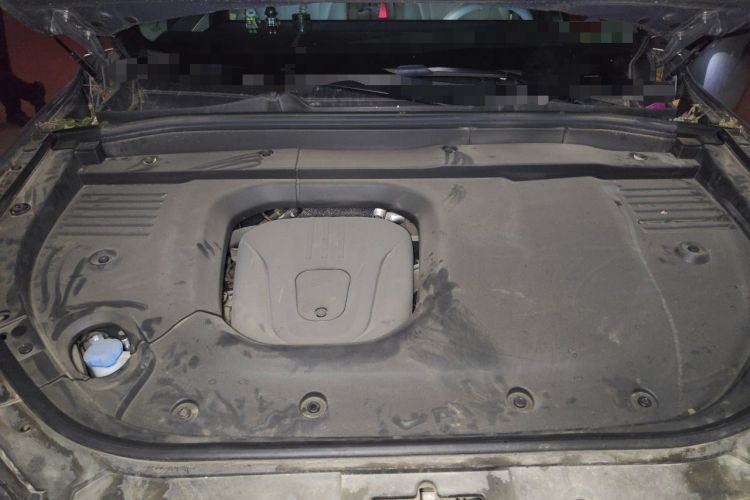 Used Wey Lanshan 2023 Four-Wheel Drive Ultra-Long Range Version Engine Bay