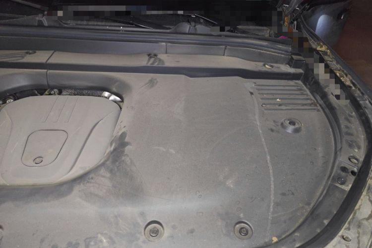 Used Wey Lanshan 2023 Four-Wheel Drive Ultra-Long Range Version Engine Bay Left