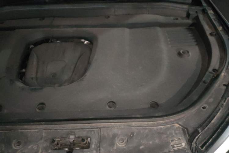 Used Wey Lanshan 2023 Four-Wheel Drive Ultra-Long Range Version Engine Bay Left