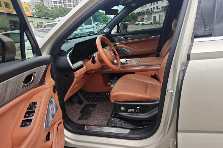 Used Wey Lanshan 2023 Four-Wheel Drive Ultra-Long Range Version Left Front Seat