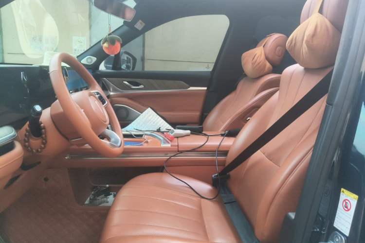 Used Wey Lanshan 2023 Four-Wheel Drive Ultra-Long Range Version Left Front Seat