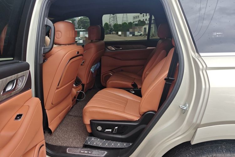 Used Wey Lanshan 2023 Four-Wheel Drive Ultra-Long Range Version Left Rear Seat