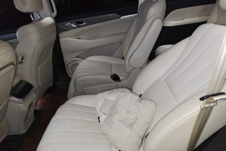 Used Wey Lanshan 2023 Four-Wheel Drive Ultra-Long Range Version Left Rear Seat