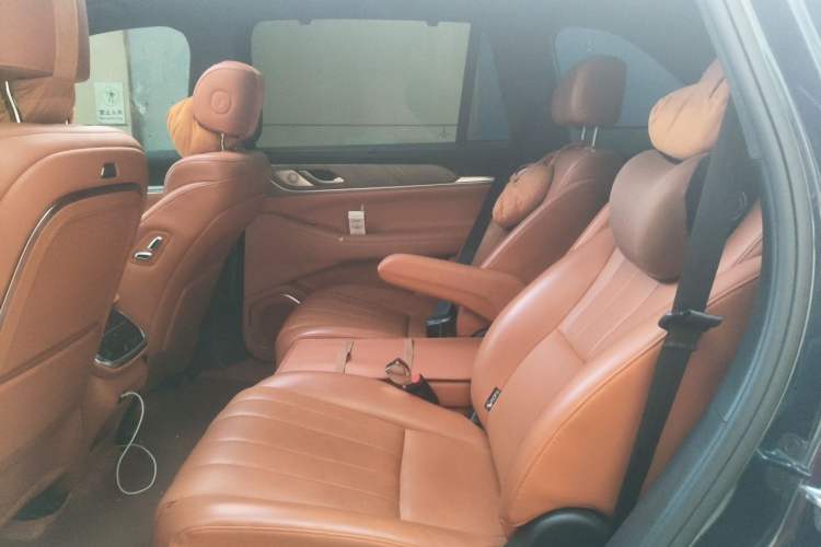 Used Wey Lanshan 2023 Four-Wheel Drive Ultra-Long Range Version Left Rear Seat