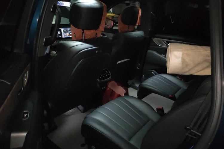 Used Wey Lanshan 2023 Four-Wheel Drive Ultra-Long Range Version Left Rear Seat