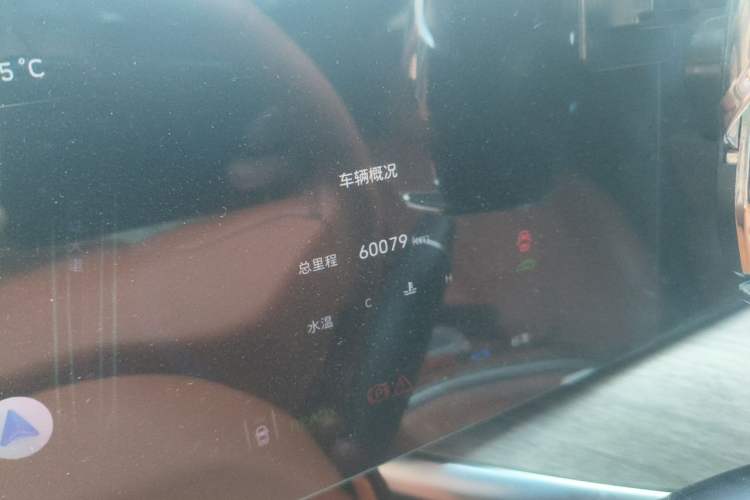 Used Wey Lanshan 2023 Four-Wheel Drive Ultra-Long Range Version Odometer Close Up
