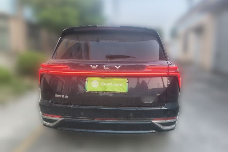 Used Wey Lanshan 2023 Four-Wheel Drive Ultra-Long Range Version Rear