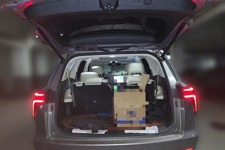 Used Wey Lanshan 2023 Four-Wheel Drive Ultra-Long Range Version Trunk