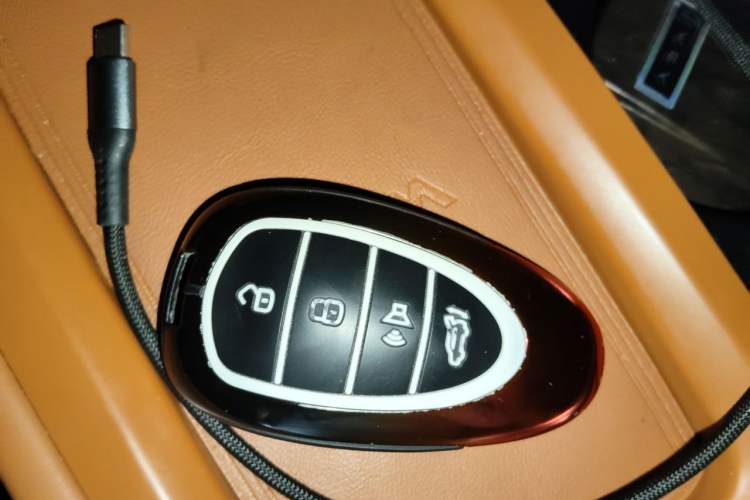 Used Wey Lanshan 2023 Four-Wheel Drive Ultra-Long Range Version Vehicle Key