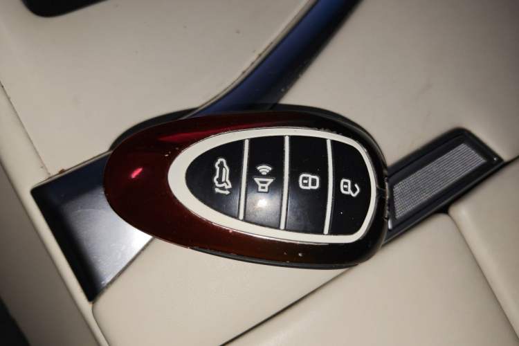 Used Wey Lanshan 2023 Four-Wheel Drive Ultra-Long Range Version Vehicle Key