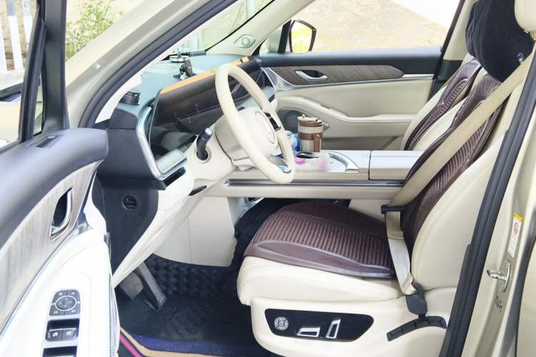 Used Wey Lanshan 2023 Four-Wheel Drive Ultra-Long Range Version Driver Seat